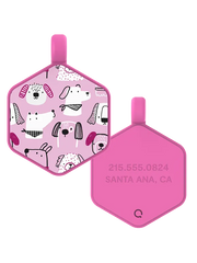 Park Pals Hex Dog Tag