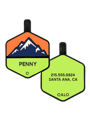 Neon Mountain Silicone Dog ID Tag