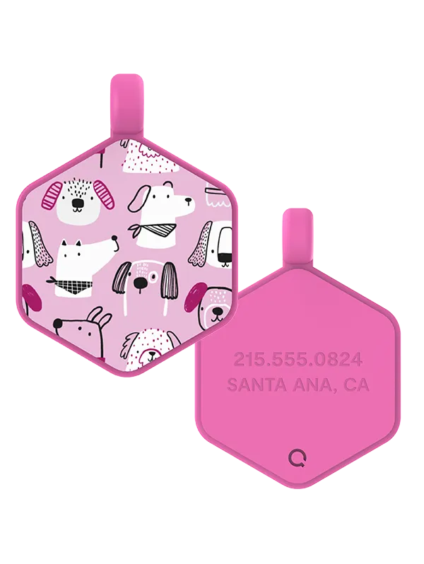 Park Pals Hex Dog Tag