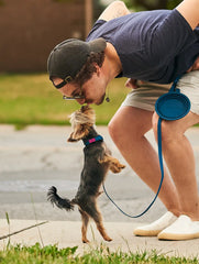 Slide-On Dog ID Tags