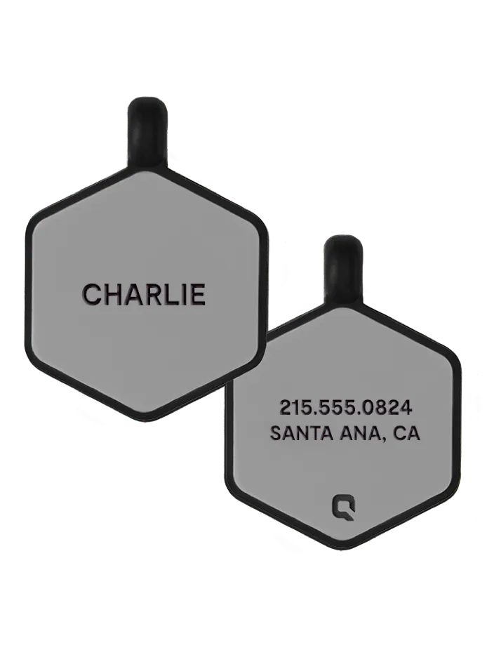 Grey Hex Silicone Dog ID Tag