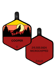 Sunrise Wild One Silicone Dog ID Tag