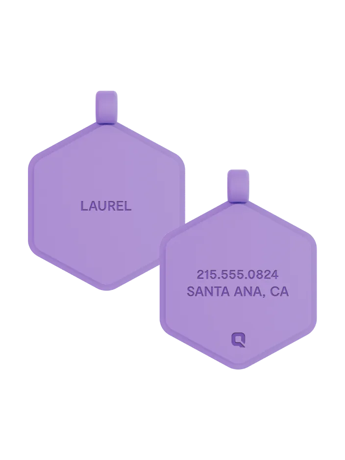 Violet Glow Classic Hex Dog ID Tag
