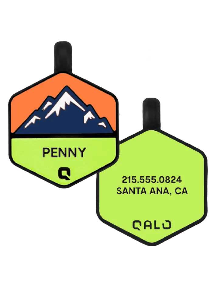 Neon Mountain Silicone Dog ID Tag
