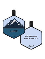 Frost Mountain Silicone Dog ID Tag