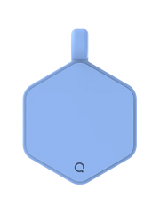 Daisy Hex Dog Tag