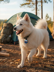 Base Camp Silicone Dog ID Tag