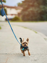 QALO Dog Leash