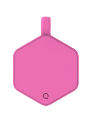 Park Pals Hex Dog Tag