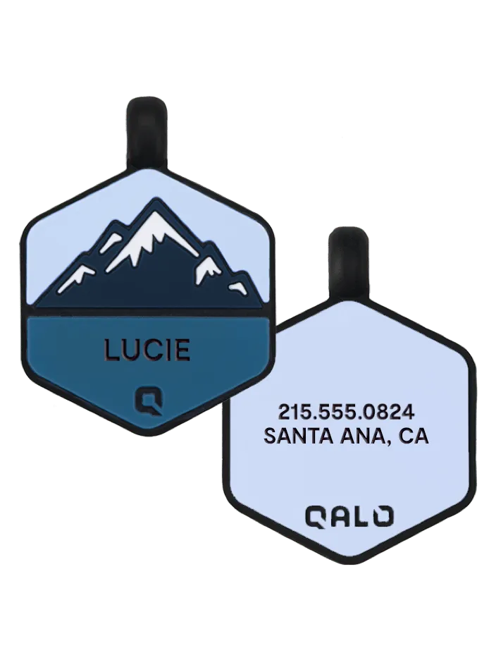 Frost Mountain Silicone Dog ID Tag