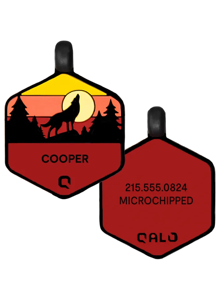 Sunrise Wild One Silicone Dog ID Tag