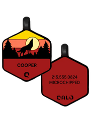 Sunrise Wild One Silicone Dog ID Tag